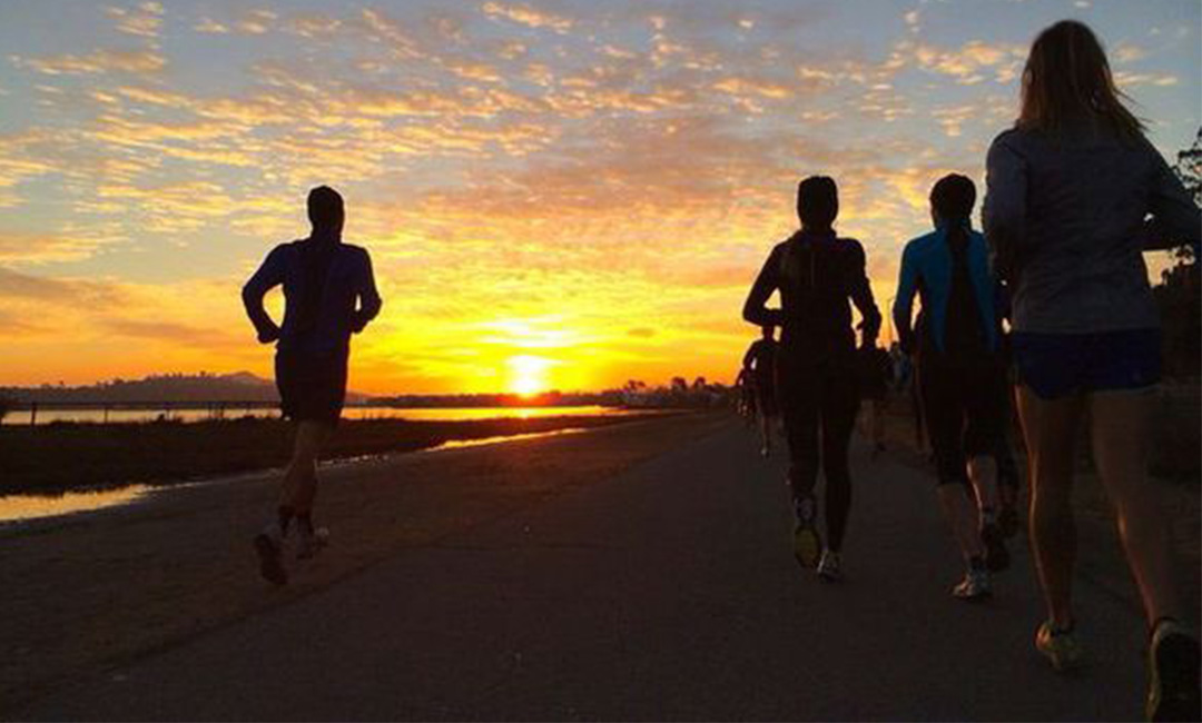 德州计步器问答案例