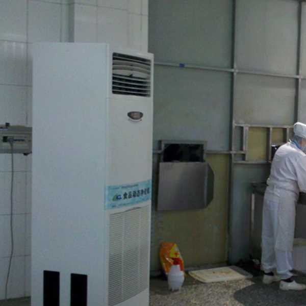 德州食品正负离子空气杀菌器